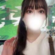 ヒメ日記 2025/11/15 15:30 投稿 たま マリン千姫