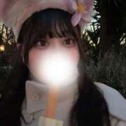 ヒメ日記 2025/11/15 19:22 投稿 たま マリン千姫