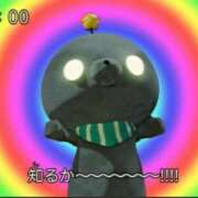 ヒメ日記 2025/11/18 21:22 投稿 たま マリン千姫