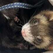 ヒメ日記 2025/11/12 08:59 投稿 のの スピードエコ日本橋店