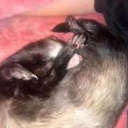 のの のの（エコ日本橋店） スピードエコ日本橋店