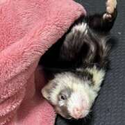 のの のの（エコ日本橋店） スピードエコ日本橋店