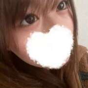 のの のの（エコ日本橋店） スピードエコ日本橋店