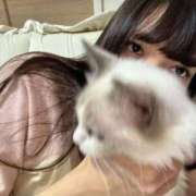 かなこ 初出勤❣️ 変態ドットコム～即尺痴女伝説