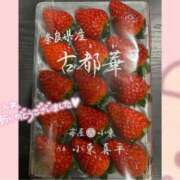 ヒメ日記 2026/02/05 03:51 投稿 ココナ スピード難波店