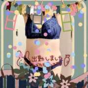 ヒメ日記 2025/11/11 12:12 投稿 西野 熟女の風俗最終章　鶯谷店