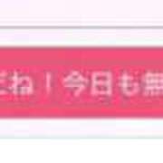 ヒメ日記 2025/11/17 02:19 投稿 ミオ MEGA PALACE(メガパレス）