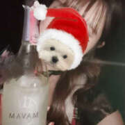 ヒメ日記 2025/12/22 16:08 投稿 ゆりか パイの巣