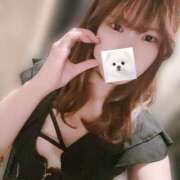 ヒメ日記 2025/12/27 20:10 投稿 ゆりか パイの巣