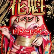 ヒメ日記 2026/01/19 18:28 投稿 ゆりか パイの巣