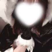 ヒメ日記 2025/12/11 21:02 投稿 すず パイの巣