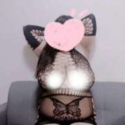 ヒメ日記 2026/04/07 13:16 投稿 あんな 新潟市鳥屋野潟ちゃんこ