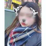 ヒメ日記 2025/11/27 03:51 投稿 雪国あんこ にゃんだ☆full☆MIX（にゃんだふるみっくす）