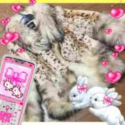 ヒメ日記 2026/01/16 08:46 投稿 山科るみ 五十路マダム 愛されたい熟女たち 高松店