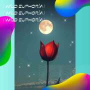 ヒメ日記 2026/01/17 21:46 投稿 山科るみ 五十路マダム 愛されたい熟女たち 高松店