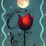 ヒメ日記 2026/03/02 21:38 投稿 山科るみ 五十路マダム 愛されたい熟女たち 高松店