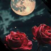 ヒメ日記 2026/03/21 22:10 投稿 山科るみ 五十路マダム 愛されたい熟女たち 高松店