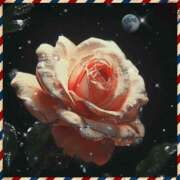 ヒメ日記 2026/03/22 18:32 投稿 山科るみ 五十路マダム 愛されたい熟女たち 高松店