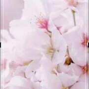 ヒメ日記 2026/04/05 08:24 投稿 山科るみ 五十路マダム 愛されたい熟女たち 高松店