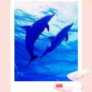 ヒメ日記 2026/07/27 00:00 投稿 山科るみ 五十路マダム 愛されたい熟女たち 高松店