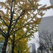 ヒメ日記 2025/11/26 14:14 投稿 城崎　るい OLピンクコレクション