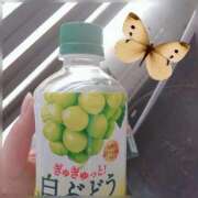 ヒメ日記 2026/04/05 14:46 投稿 みすず club さくら日本橋店