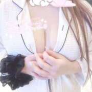 ヒメ日記 2025/11/03 16:38 投稿 イヌザメ　犬鮫 女の子市場