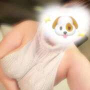 イヌザメ　犬鮫 おはようございます☀️ 女の子市場