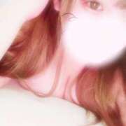 イヌザメ　犬鮫 きんよーびっ！ 女の子市場