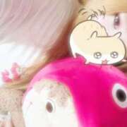 ヒメ日記 2026/06/14 20:08 投稿 イヌザメ　犬鮫 女の子市場