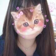 れん あいにきてにゃ🐱 セクシーキャット 小田原店