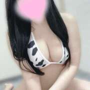 ヒメ日記 2026/03/06 12:17 投稿 りんこ 八尾藤井寺羽曳野ちゃんこ