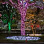 ほづみ 11/21お逢い出来た方へ 奥鉄オクテツ東京店（デリヘル市場）