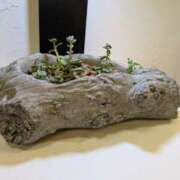 ヒメ日記 2026/01/13 10:44 投稿 ほづみ 奥鉄オクテツ東京店（デリヘル市場）