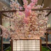 ほづみ 京急線の🌷さまへ 奥鉄オクテツ東京店（デリヘル市場）