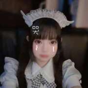 ヒメ日記 2025/11/05 10:09 投稿 ゆきの サティアンまーと