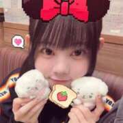 ヒメ日記 2025/11/06 18:19 投稿 ゆきの サティアンまーと