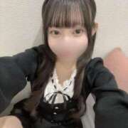 ヒメ日記 2025/11/10 11:59 投稿 ゆきの サティアンまーと