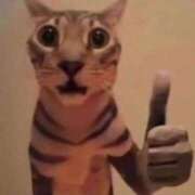 ミハル おはようございます。 ピカソ