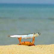 ヒメ日記 2026/02/22 18:39 投稿 ミハル ピカソ