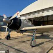 ヒメ日記 2026/02/22 18:42 投稿 ミハル ピカソ