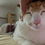 ヒメ日記 2026/04/20 01:11 投稿 ミハル ピカソ