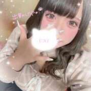 ヒメ日記 2026/02/17 19:15 投稿 うに ぷよラブ FANたすてぃっく