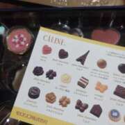 ヒメ日記 2026/01/23 17:22 投稿 さくら【新人美人奥様】 人妻ラブマシーン