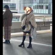 ヒメ日記 2026/02/23 03:04 投稿 さつき バタフライ立川