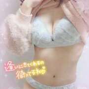 ヒメ日記 2025/11/20 12:59 投稿 けい もも尻本店