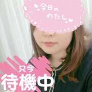 ヒメ日記 2025/12/29 18:56 投稿 やえか ぷるるんマダム 難波店