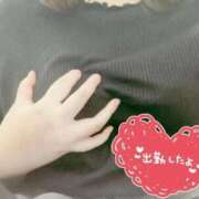 ヒメ日記 2025/12/30 15:25 投稿 やえか ぷるるんマダム 難波店