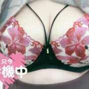 ヒメ日記 2026/01/17 19:51 投稿 やえか ぷるるんマダム 難波店