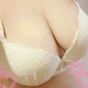 ヒメ日記 2026/02/11 13:39 投稿 やえか ぷるるんマダム 難波店